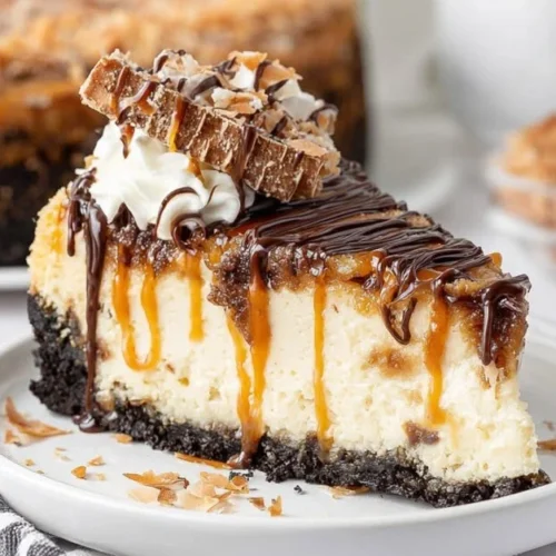 Delicious Samoa Cheesecake topped with chocolate, caramel, and coconut