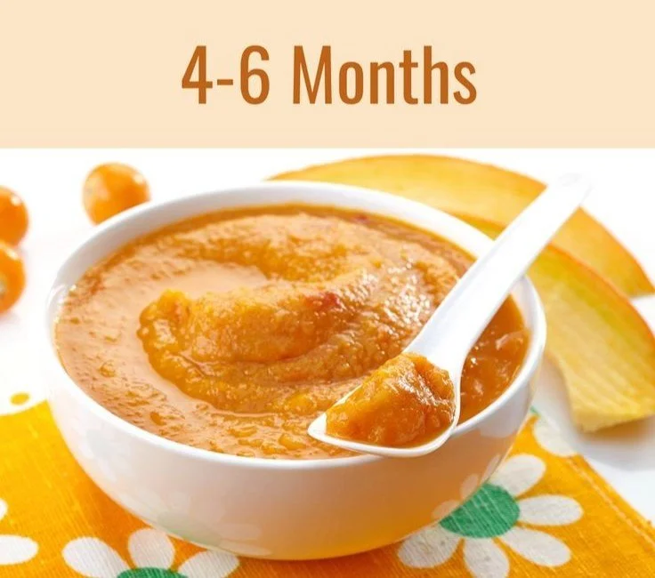 Stage 1 Easy Homemade Baby Food Puree Recipes (4-6 Months)