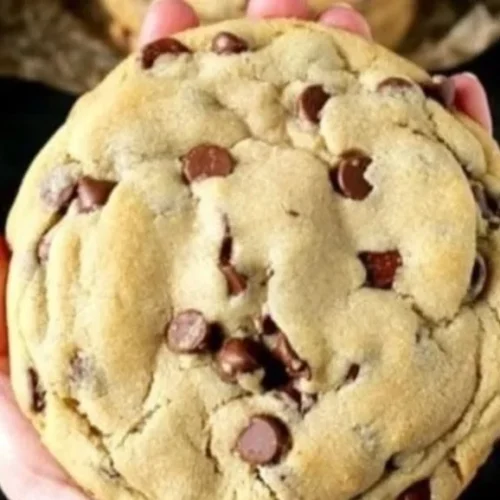 Extra Large Chocolate Chip Cookies baked to perfection with rich chocolate chunks